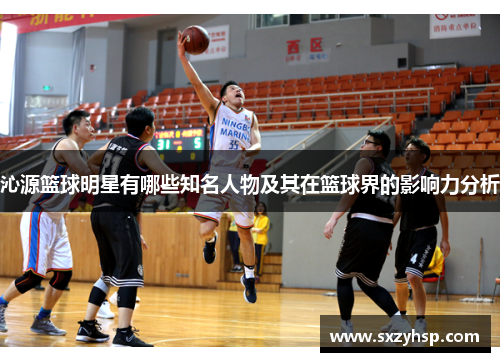 沁源篮球明星有哪些知名人物及其在篮球界的影响力分析